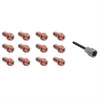 Fächerkrümmerschrauben 3/8"-16 x länge 19 mm Gold chromatiert