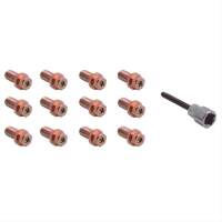 Fächerkrümmerschrauben 3/8"-16 x länge 19 mm Gold chromatiert