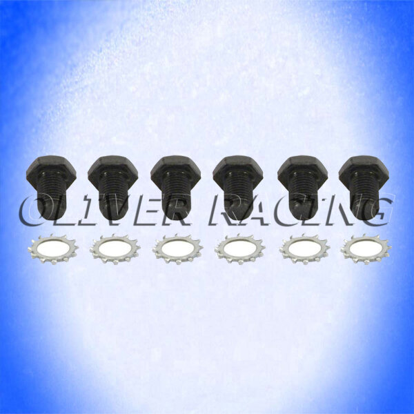 SCHRAUBEN STARTERKRANZ GM Chevrolet Pontiac Oldsmobile Buick 55-89 4.3 5.7-7.4 L