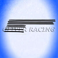 Fensterschachtleisten 8 teiliges Set vorne hinten innen und aussen Oldsmobile 66 67 Toronado Dichtleiste Seitenscheibe Window felt