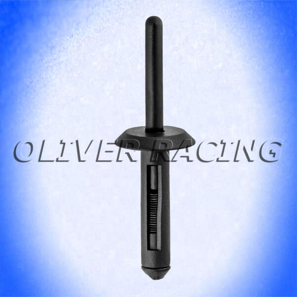 Plastik Niete rivet M6.25X28 Plastiknagel