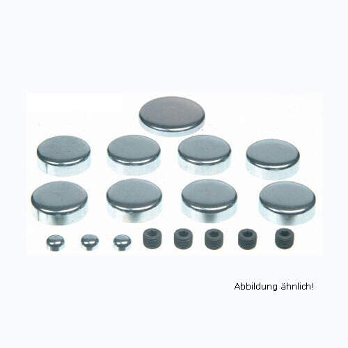 Froststopfenset Buick