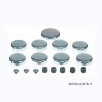 Froststopfenset Buick