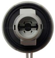 Fassung Kennzeichenbeleuchtung BUICK CADILLAC CHEVROLET GMC HUMMER OLDSMOBILE PONTIAC 95-11