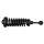 Federbein Stoßdämpfer Schraubenfeder Feder Vorderachse VA Ford Expedition Lincoln Navigator 03-06
