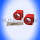 Stabigummi Set vorne 30 mm Chevrolet Camaro Pontiac Firebird 1982-1992