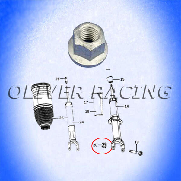 Federbein Mutter Befestigungsmutter unten VA Dodge RAM 1500 19-25