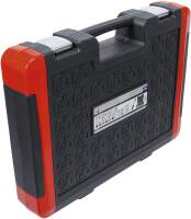Steckschlüssel-Satz | Antrieb 6,3 mm (1/4") / 10 mm (3/8") / 12,5 mm (1/2") | 172-tlg.