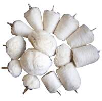 Polierköpfe-Sortiment | Antrieb 6,3 mm (1/4") |...