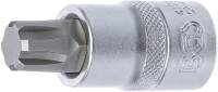 Bit-Einsatz | Antrieb Innenvierkant 12,5 mm (1/2") | Keil-Profil (für RIBE) M14