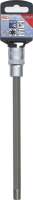 Bit-Einsatz | Länge 200 mm  | Antrieb Innenvierkant 12,5 mm (1/2") | Keil-Profil (für RIBE) M10,3