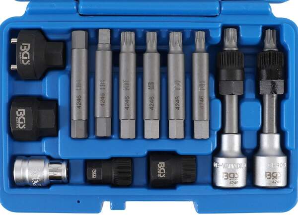 Lichtmaschinen Bit-/Bit-Einsatz-Satz | Antrieb 12,5 mm (1/2") | 13-tlg.