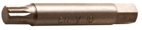 Bit, lang | Antrieb Außensechskant 10 mm (3/8") | Innenvielzahn (für XZN) M10