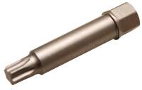 Spezial-Bit zur Demontage der Riemenräder an Lichtmaschinen | T-Profil (für Torx) T50 x 64 mm