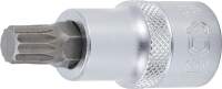 Bit-Einsatz | Antrieb Innenvierkant 12,5 mm (1/2") | Innenvielzahn (für XZN) M10