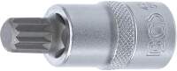 Bit-Einsatz | Antrieb Innenvierkant 12,5 mm (1/2") | Innenvielzahn (für XZN) M12