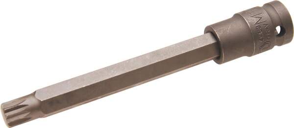 Kraft-Bit-Einsatz | Länge 140 mm  | Antrieb Innenvierkant 12,5 mm (1/2") | Innenvielzahn (für XZN) M12