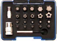 Bit-Satz | TS-Profil PLUS (für Torx Plus) | 23-tlg.