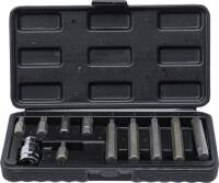Bit-Satz | Antrieb Außensechskant 10 mm (3/8") | Innenvielzahn (für XZN) | 11-tlg.