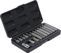 Bit-Satz | Antrieb Außensechskant 10 mm (3/8") | T-Profil (für Torx) | 15-tlg.